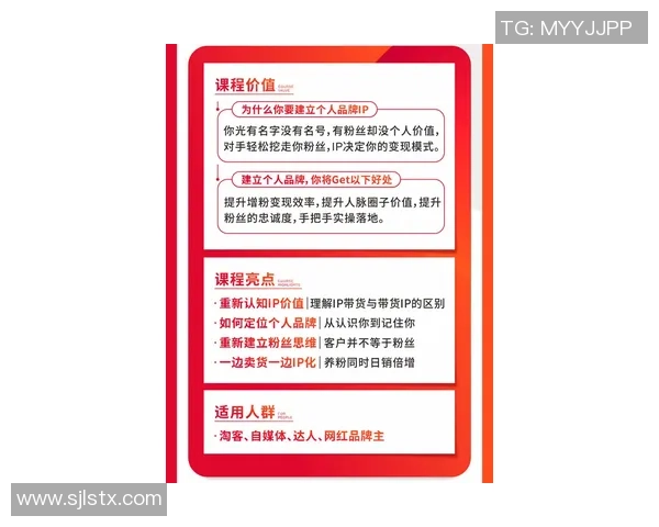 红桃国际安全保障措施全面解析与实施细则探讨