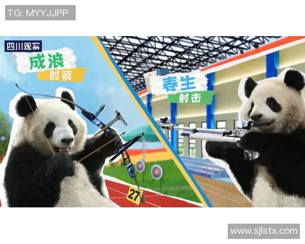 熊猫体育视频分析系统助力运动员提升竞技水平与战术决策能力