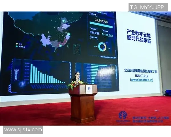 红桃国际数字身份系统助力全球数字经济发展与安全管理新模式探索