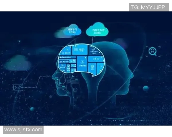 红桃国际在对抗性机器学习领域的创新探索与应用实践分析